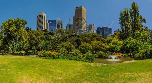 istock Immersed in the green of Melbourne. 1243561777