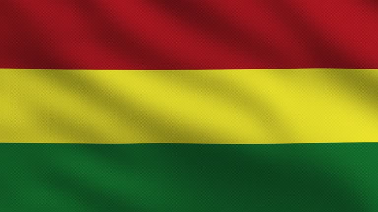 Bolivian flag