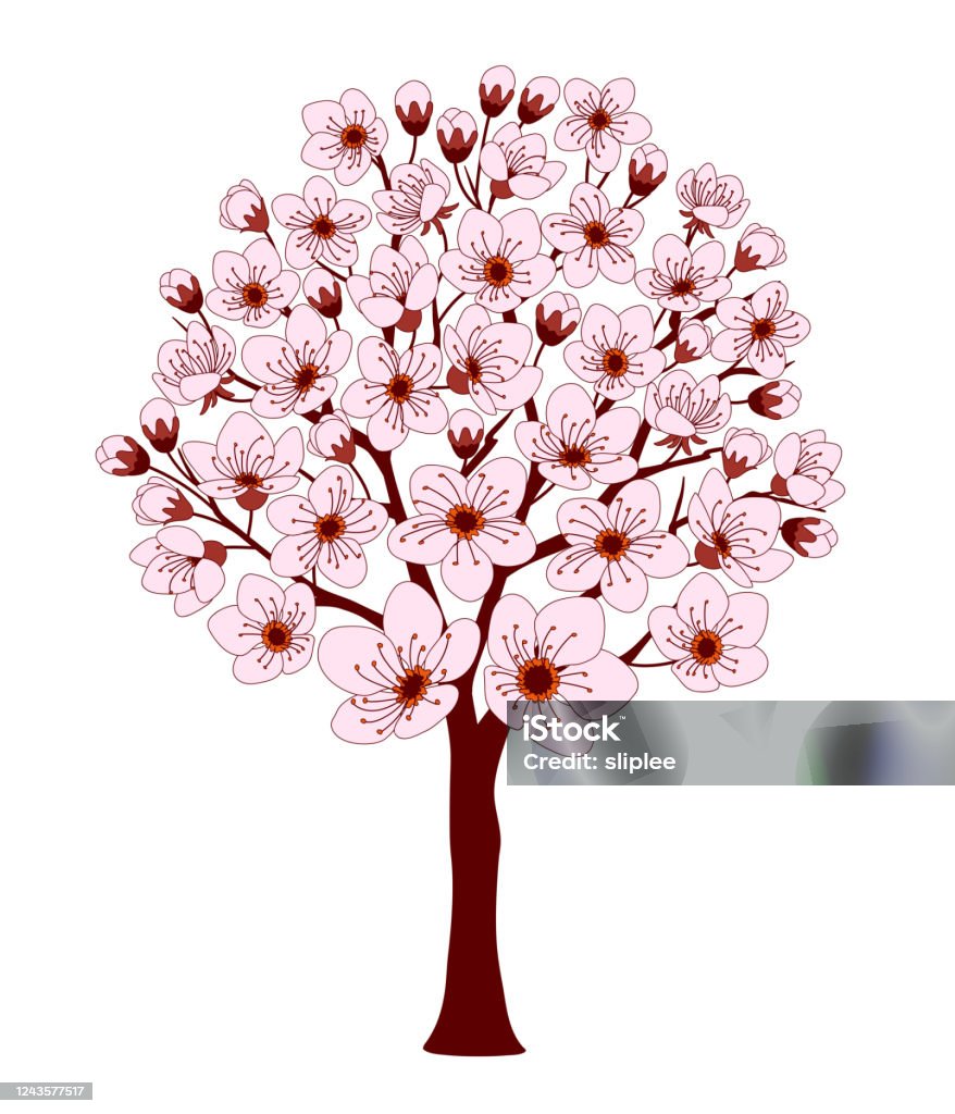 Vetores de Pequena Cerejeira Colorida Com Flor Rosa e mais imagens de  Cerejeira - Árvore Frutífera - Cerejeira - Árvore Frutífera, Florescer,  Revista em quadrinhos - Produção artística - iStock