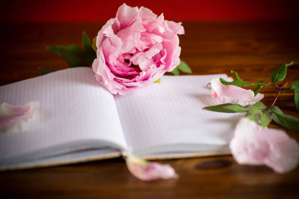istock pink beautiful peony with petals, blank notebook for text 1243585689