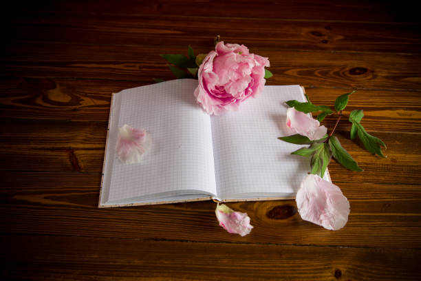 istock pink beautiful peony with petals, blank notebook for text 1243586142