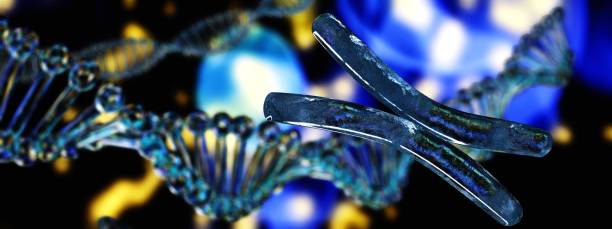 DNA helix, human genome stock photo