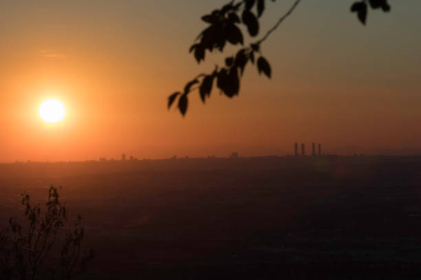 istock tree in the sunset in Madrid 1243643859