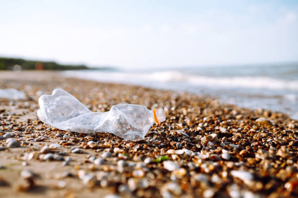 pusta plastikowa butelka na plaży morskiej. - wine wine bottle bottle collection zdjęcia i obrazy z banku zdjęć