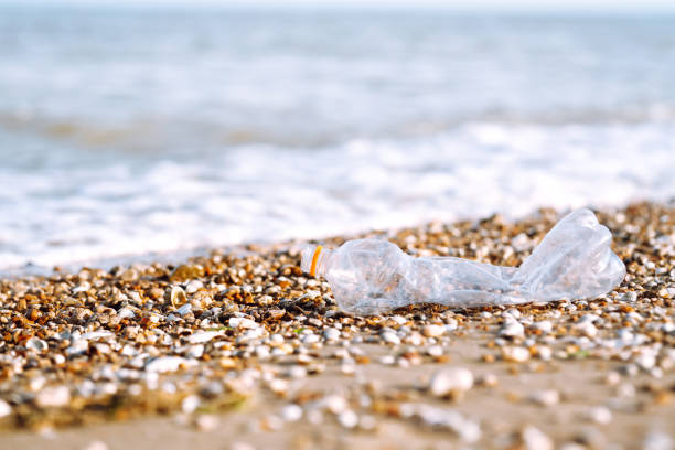 pusta plastikowa butelka na plaży morskiej. - wine wine bottle bottle collection zdjęcia i obrazy z banku zdjęć