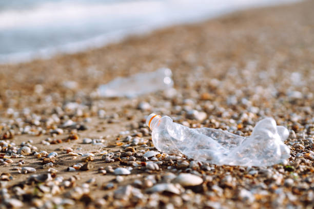 pusta plastikowa butelka na plaży morskiej. - wine wine bottle bottle collection zdjęcia i obrazy z banku zdjęć