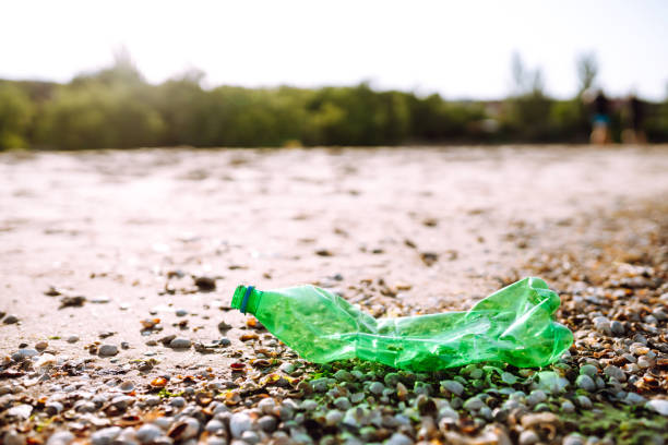 pusta plastikowa butelka na plaży morskiej. - wine wine bottle bottle collection zdjęcia i obrazy z banku zdjęć