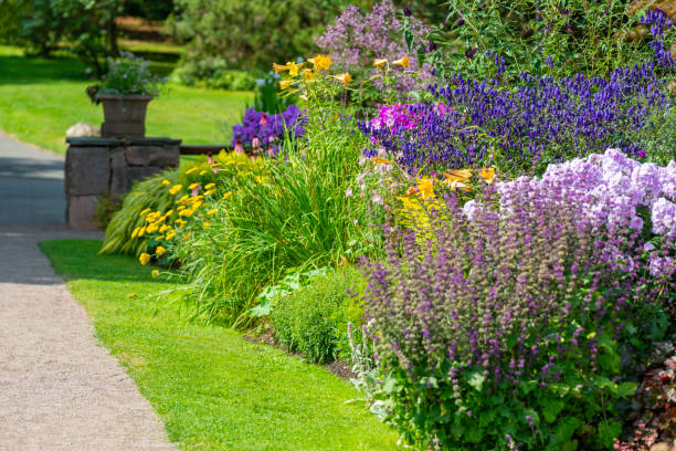 istock Lavish Botanical garden 1243705273
