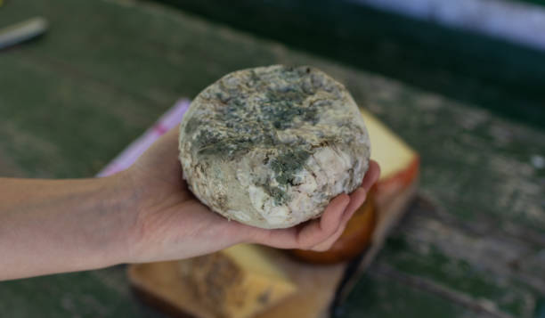 istock Hand holding a cheese with a moldy rind 1243708410