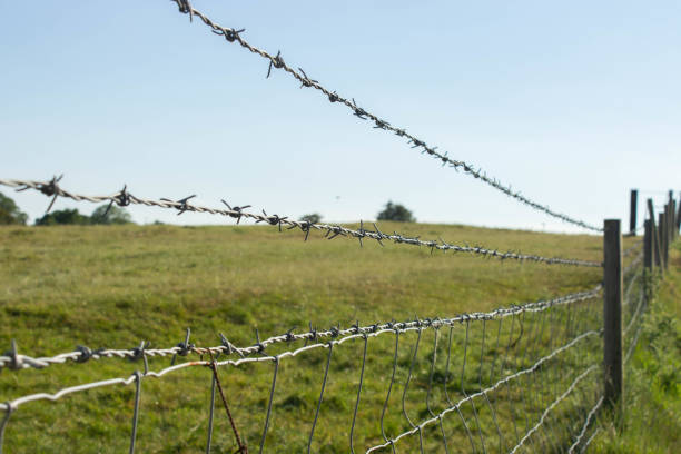 istock A string of barbed wire on a farm fence. 1243708422