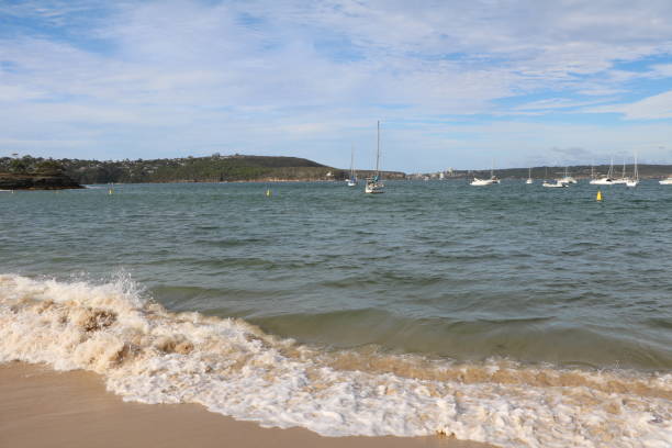 Summer at Balmoral Beach in Sydney, Australia Summer at Balmoral Beach in Sydney, Australia mossman gorge stock pictures, royalty-free photos & images