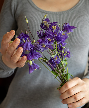Purple flowers held by a woman's hands