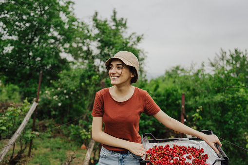 Smiling woman holding a basket full of organic cherries