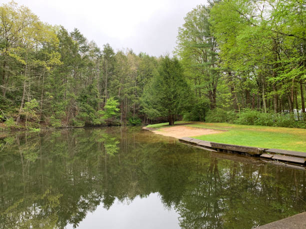istock Small pond surround by many types of trees. 1243765490