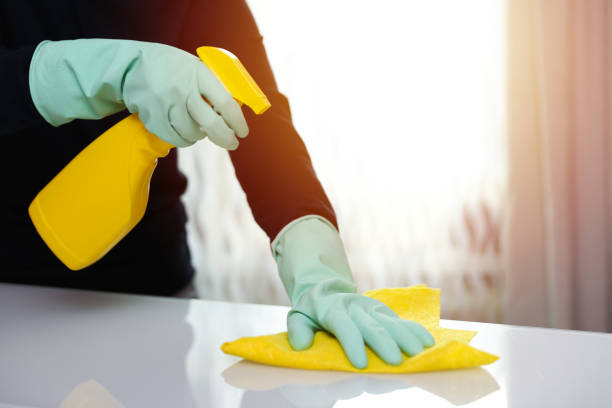 istock cleaning home surfaces with a spray and cloth. 1243765491
