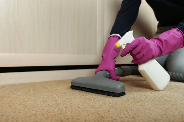 istock cleaning the carpet with a vacuum cleaner. 1243765525
