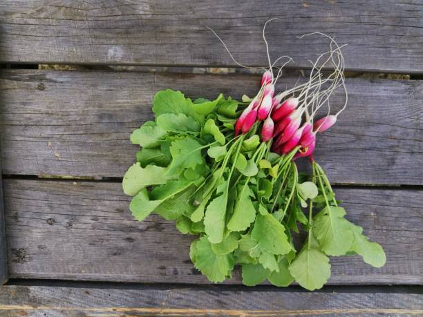 istock Fresh Radishes on wooden background with copy space 1243769371