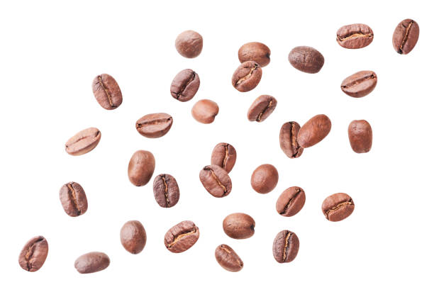 Coffee beans fly on a white background. Isolated Coffee beans close-up fly on a white background. Isolated roasted coffee bean photos stock pictures, royalty-free photos & images