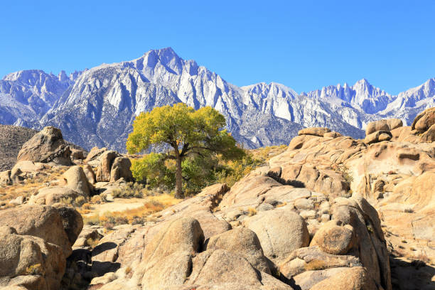 Alabama Hills with Sierra Nevada in the background