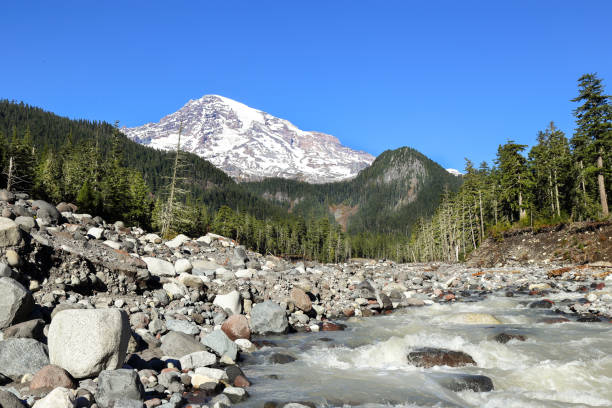 White river on the way to Mt. Rainier in the background