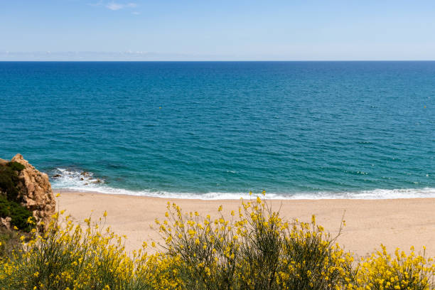 the black sea coast - Kerpe - Turkey