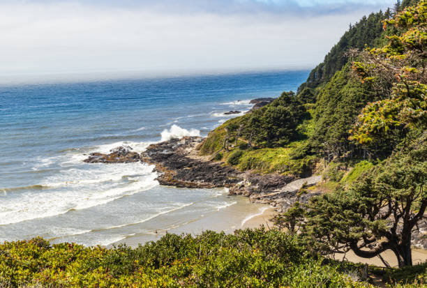 istock Looking down on a beach and the rugged coast of Oregon 1243782464