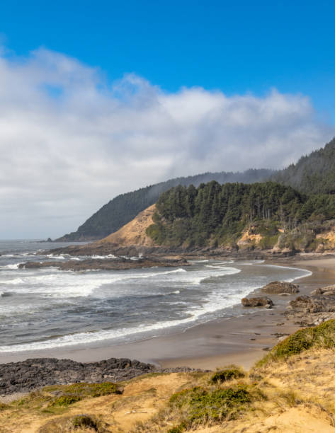 istock Vertical Image-Sandy beach and rocky coast along the Oregon coast 1243782473