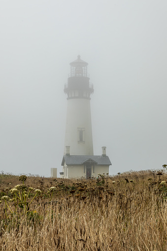 Vertical Image -Yaquina Head Lighthouse in the fog along the coast in Oregon
