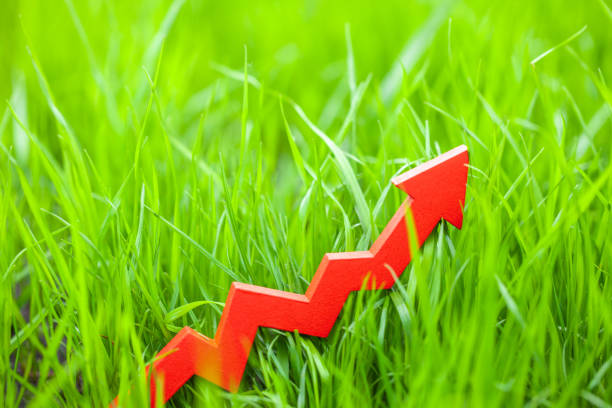 istock Red up arrow in the lawn grass 1243785706