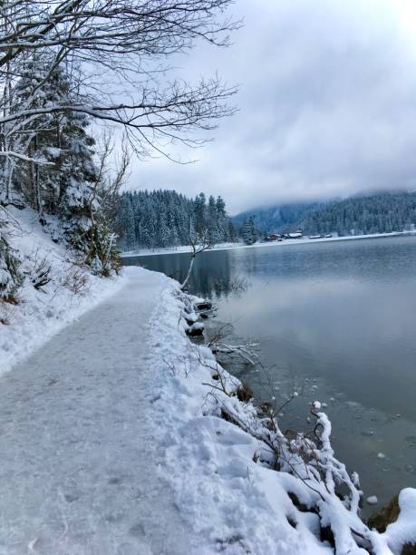 istock Spitzingsee lake in winter, Upper Bavaria, Germany 1243787956