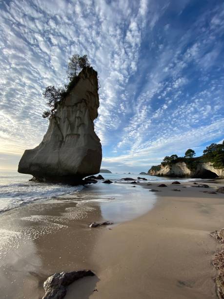 istock Rock at cathedral cove beach 1243787968