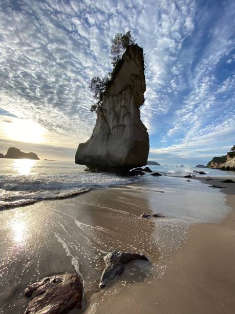 istock Rock formation at cathedral cove 1243787985