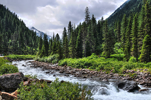 istock Scenic view of Austrian mountain, green pines and a river  124378985