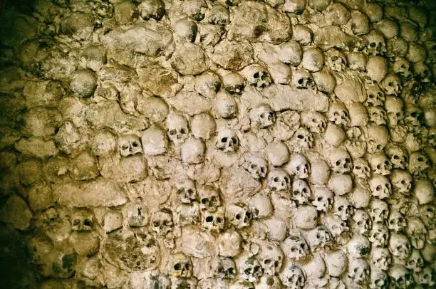 Skulls of the Italian Catacombs