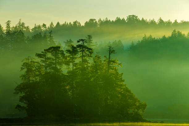 Sooke harbor on the west coast of Vancouver Island, British Columbia