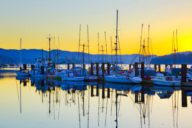 istock Vancouver Island British Columbia 1243802146