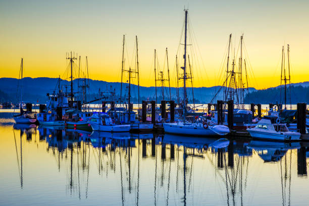 istock Vancouver Island British Columbia 1243802153
