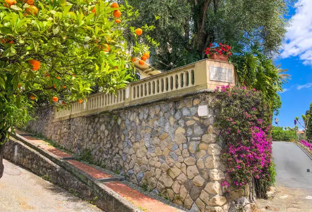 Sundrenched street in Bordighera, Region Liguria, Province Imperia, Italy