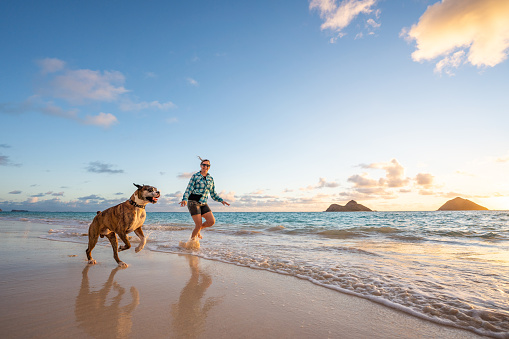 Woman with boxer dog runs along the beach at sunrise
