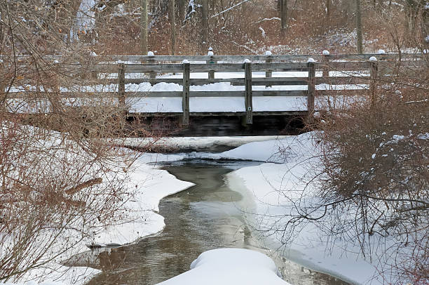 istock Winter Creek Michigan 124381442