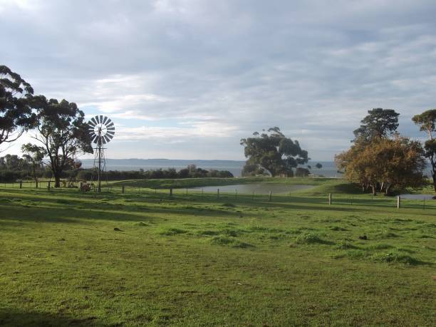 Peaceful Australian Farm Scene