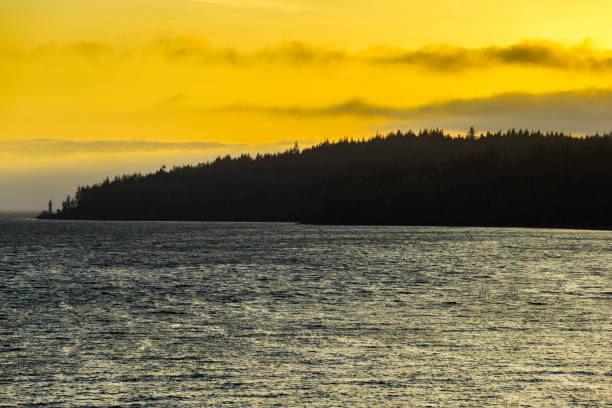 istock Vancouver Island British Columbia 1243833359