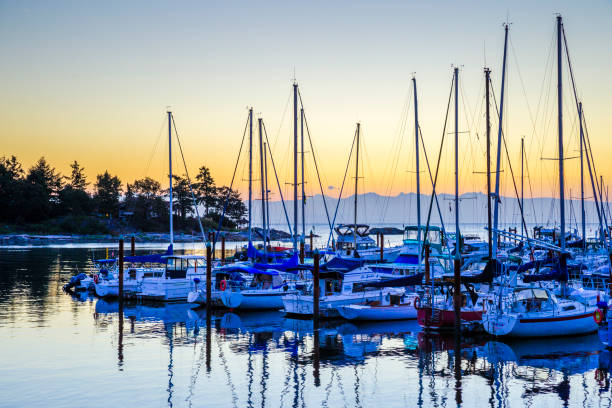 istock Vancouver Island British Columbia 1243838857