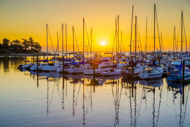 istock Vancouver Island British Columbia 1243840483