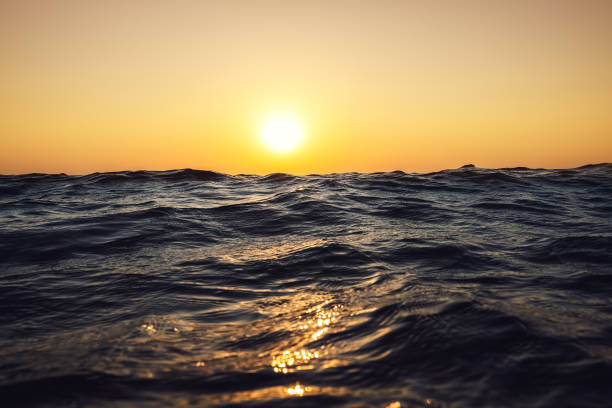 istock Sea wave close up, low angle view, sunrsie shot 1243844412