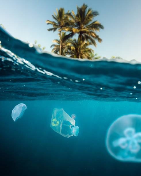 istock Jellyfish Swimming Amidst Plastic 1243860261