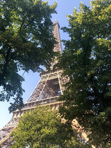 Upward perspective of the Eiffel Tower in Paris, France, framed by trees.