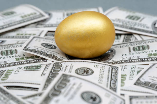istock Golden egg isolated on dollar bank note background 1243868635
