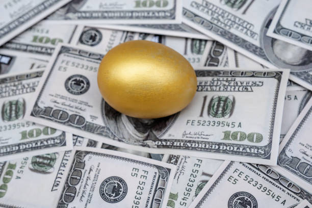 istock Golden egg isolated on dollar bank note background 1243868741