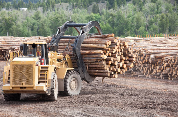 istock Heavy Machine Working at Lumber Mill in Logging Industry 1243873433